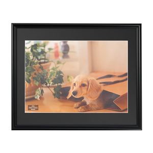 樹脂製写真額 A3判 ブラック F-SP-113-D