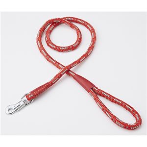 （まとめ）NEW ネオンリード 12mm レッド【×2セット】 (犬用品/リード)