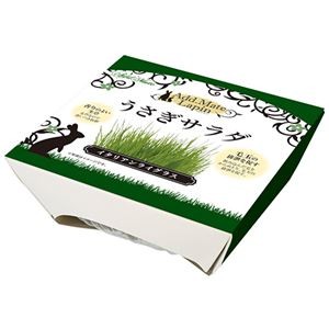 （まとめ）ラパン うさぎサラダ イタリアンライグラス【×5セット】 (小動物用品)