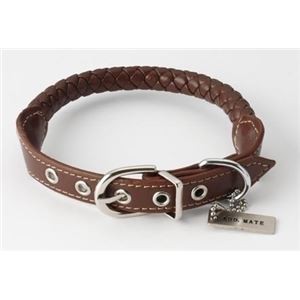 （まとめ）Maniera カラー S ブラウン【×2セット】 (犬用品/首輪)