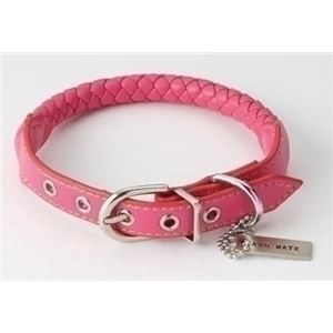 （まとめ）Maniera カラー S ピンク【×2セット】 (犬用品/首輪)