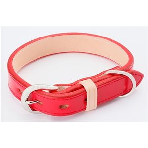 レザースタイルカラー S レッド (犬用品/首輪)