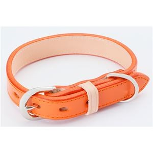 レザースタイルカラー S オレンジ (犬用品/首輪)
