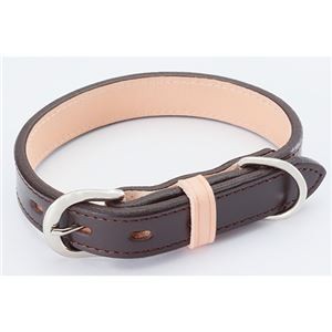 レザースタイルカラー S ブラウン (犬用品/首輪)