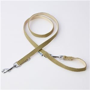 （まとめ）ソフトスキップリード SS グリーン【×2セット】 (犬用品/リード)