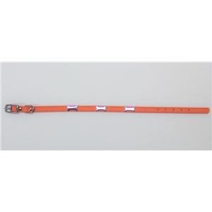 （まとめ）Wレザーカラー ボーン M オレンジ【×3セット】 (犬用品/首輪)