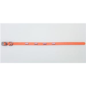 （まとめ）Wレザーカラー ボーン 2L オレンジ【×2セット】 (犬用品/首輪)