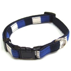 （まとめ）シックボーダーカラー #10 ブルー【×5セット】 (犬用品/首輪)
