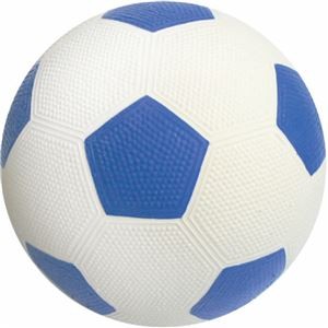 （まとめ）わんわんサッカー ブルー【×3セット】 (犬用玩具)