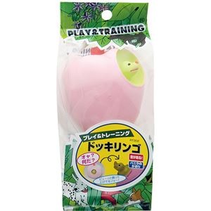 （まとめ）ドッキリンゴ【×5セット】 (犬用玩具)