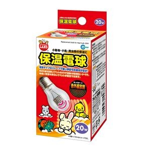（まとめ）保温電球 20W【×2セット】 (小動物用品)