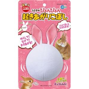 （まとめ）うさぎのぴょんぴょん起きあがりこぼし【×3セット】 (小動物用品/玩具)