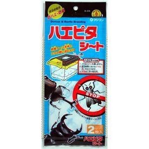 （まとめ）昆虫のハエピタシート 2枚入【×10セット】 (昆虫用品)