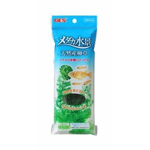 （まとめ）メダカ水景 天然産卵草【×5セット】 (観賞魚/水槽用品)