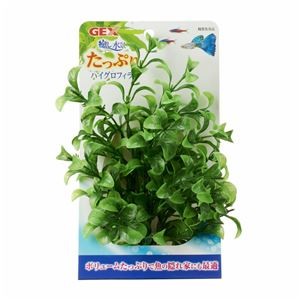 （まとめ）癒し水景 たっぷり ハイグロフィラ【×5セット】 (観賞魚/水槽用品)