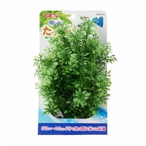 （まとめ）癒し水景 たっぷり ロタラ【×5セット】 (観賞魚/水槽用品)