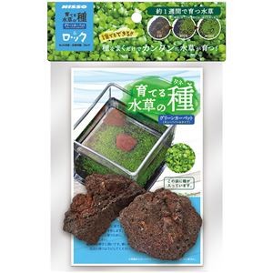 （まとめ）育てる水草の種 グリーンカーペット＆ロック【×3セット】 (観賞魚/水槽用品)