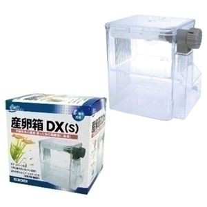 （まとめ）産卵箱DX（S）【×2セット】 (観賞魚/水槽用品)