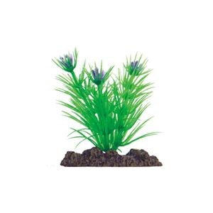 （まとめ）アクアティックプランツ SS-5【×6セット】 (観賞魚/水槽用品)