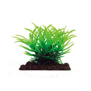 （まとめ）アクアティックプランツ SS-8【×6セット】 (観賞魚/水槽用品)