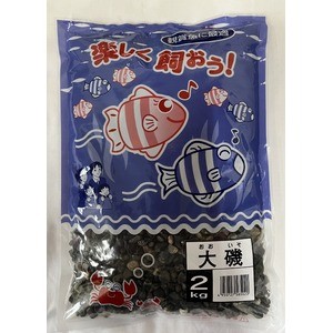 （まとめ）大磯 2KG【×5セット】 (観賞魚/水槽用品)