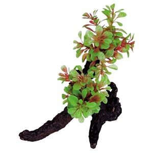 （まとめ）テトラ ウッドプラント WP-2【×5セット】 (観賞魚/水槽用品)