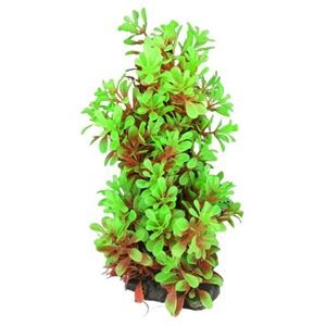 （まとめ）テトラ フレキシブルプラント FP-6【×5セット】 (観賞魚/水槽用品)