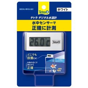 （まとめ）デジタル水温計 ホワイト WD-1【×3セット】 (観賞魚/水槽用品)