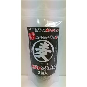 （まとめ）麦飯石のろ過材 3個入【×3セット】 (観賞魚/水槽用品)