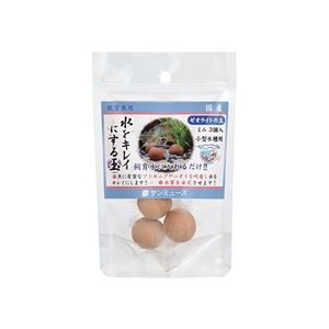 （まとめ）ゼオライトの玉 ミニ ブラウン 3個入【×5セット】 (観賞魚/水槽用品)