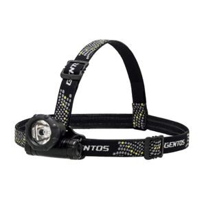 LEDヘッドライト GTR-831D