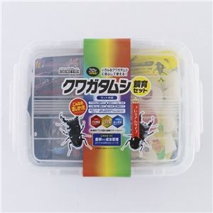 クワガタムシ飼育セット プレミアムタイプ （昆虫用品）