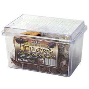 カブトムシ・クワガタムシ飼育5点セット （昆虫用品）