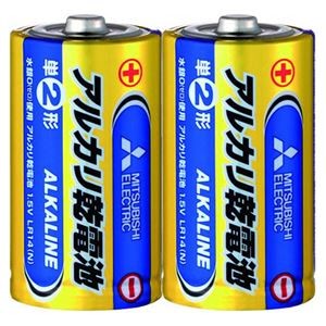 （まとめ） 三菱電機ライフネット アルカリ乾電池 単二 Nタイプ 2本パック 【×10セット】