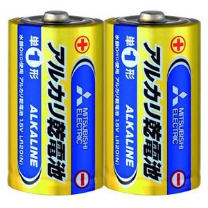 （まとめ） 三菱電機ライフネット アルカリ乾電池 単一 Nタイプ 2本パック 【×5セット】