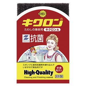 （まとめ） 中央物産 キクロンA 【×10セット】