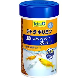 （まとめ）テトラ キリミン 28g 川魚用フード 【×20セット】