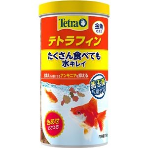 （まとめ）テトラフィン 180g 金魚用フード 【×2セット】