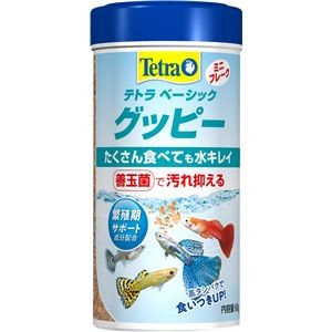 （まとめ）テトラ ベーシック グッピー 60g 熱帯魚用フード 【×5セット】