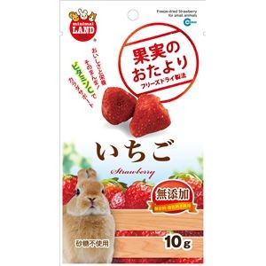 （まとめ）マルカン 果実のおたより いちご 10g 小動物用おやつ 【×5セット】