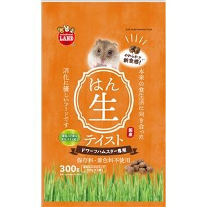 （まとめ）マルカン ハムスターフード半生テイスト ドワーフ 300g ハムスターフード 【×3セット】
