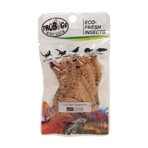 （まとめ）プロバグス スーパーワーム 爬虫類・両生類フード 【×5セット】