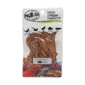 （まとめ）プロバグス ミルワーム 爬虫類・両生類フード 【×5セット】