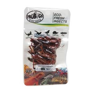 （まとめ）プロバグス グラスホッパー 爬虫類・両生類フード 【×5セット】