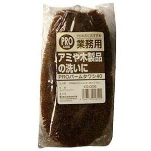 【10セット】 ワイズ 業務用パームタワシ40 KG006 MMT16141X10