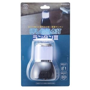 【5セット】 スマイルキッズ 押したら点灯ランタンIII ALA-4301SX5