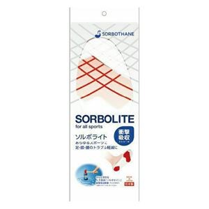 【3セット】 三進興産 ソルボライト 2L sorbo14648X3