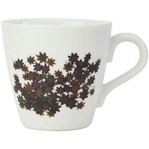 温感マグ 紅葉 φ9×8.5cm C6105520