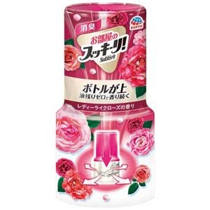 【まとめ】 お部屋のスッキーリ！レディーライクローズ 【×5セット】