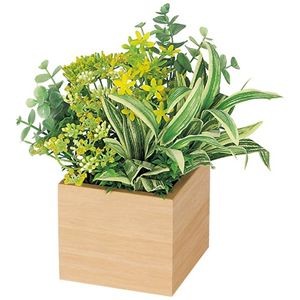 卓上ポット ミニ100角 GR4380ナチュラル（ユーカリ）